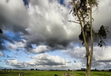 吴易昺、商竣程会师全运会网球男单决赛