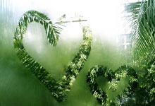 孙颖莎输掉比赛！