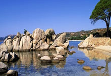 “武校联合会杯”武术比赛收官