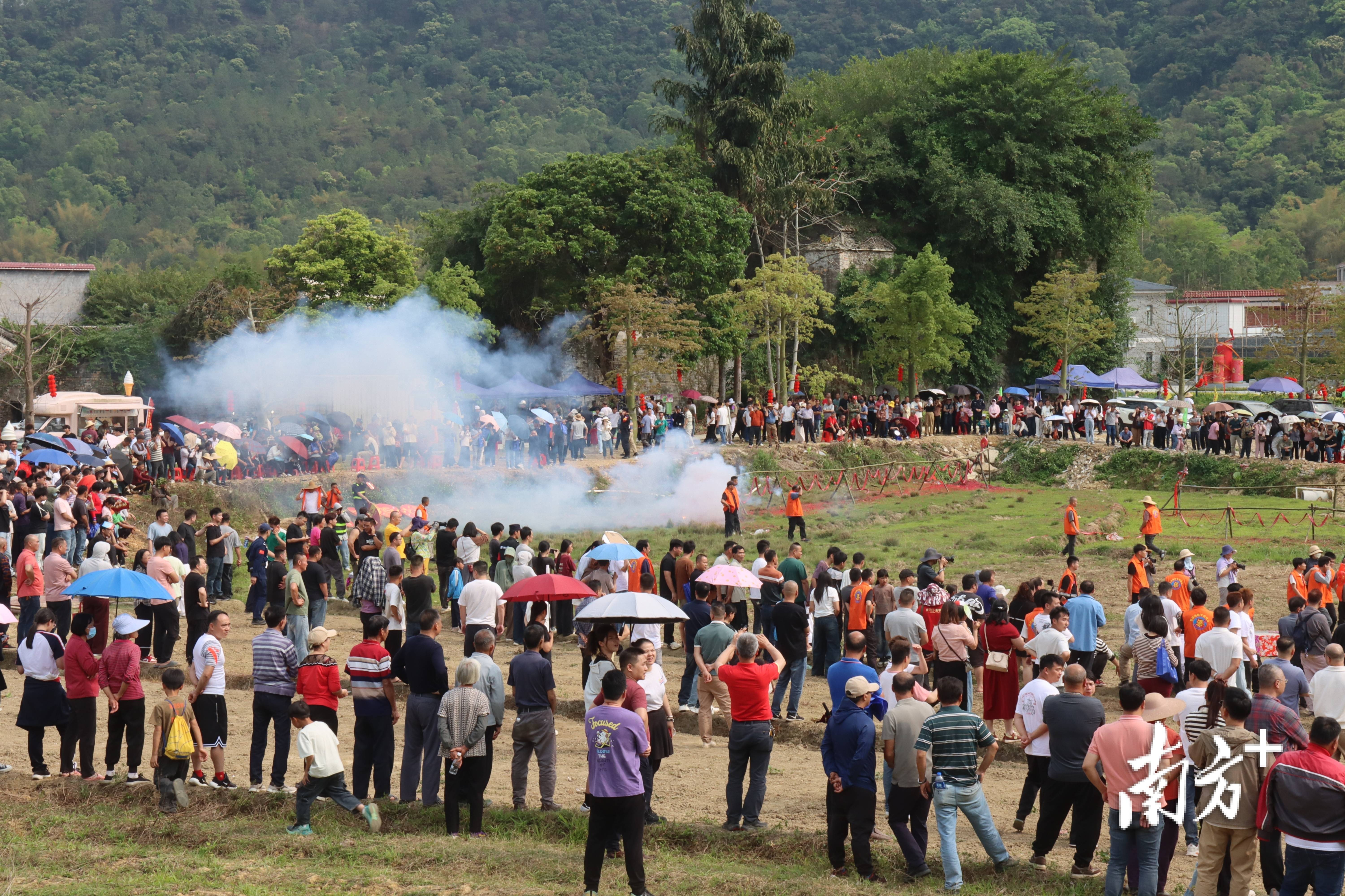 阳春这场传承500多年的炮会，到底有多热闹？