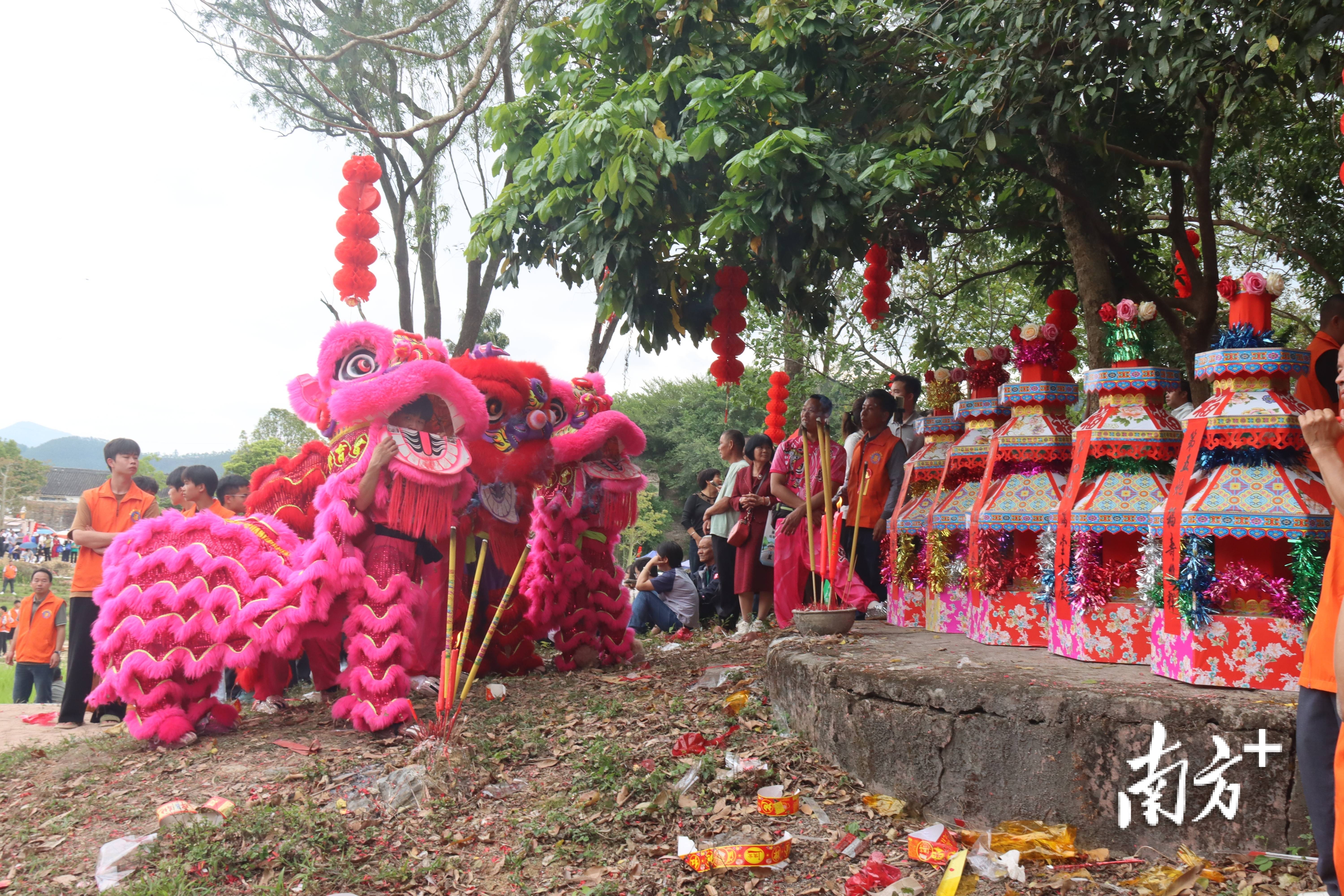 阳春这场传承500多年的炮会，到底有多热闹？
