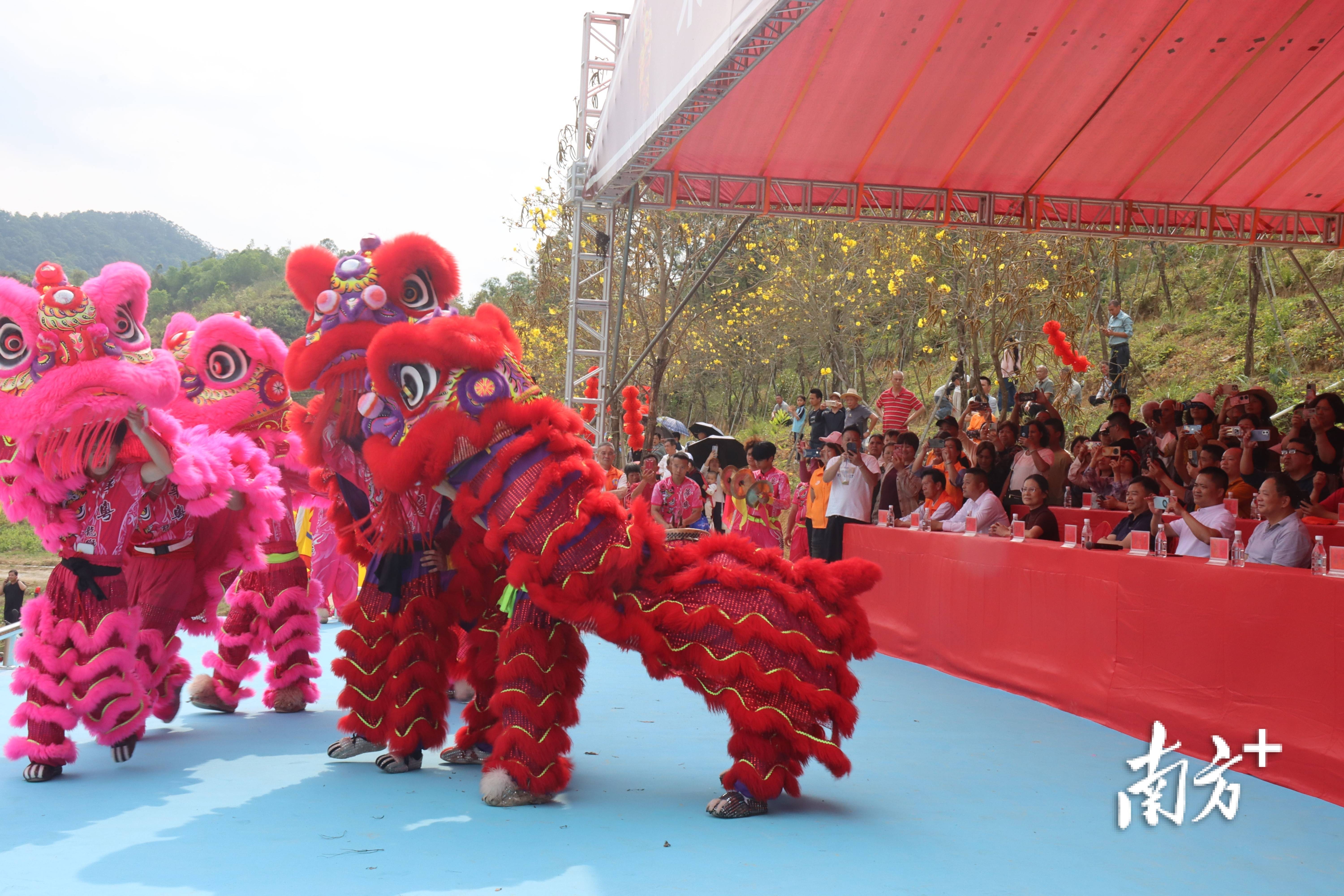 阳春这场传承500多年的炮会，到底有多热闹？